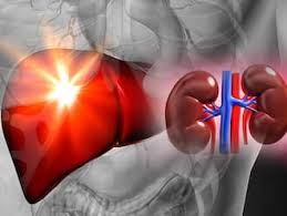 Unexplained Kidney Disease Becomes a Growing Health Concern in Telangana, Study Reveals